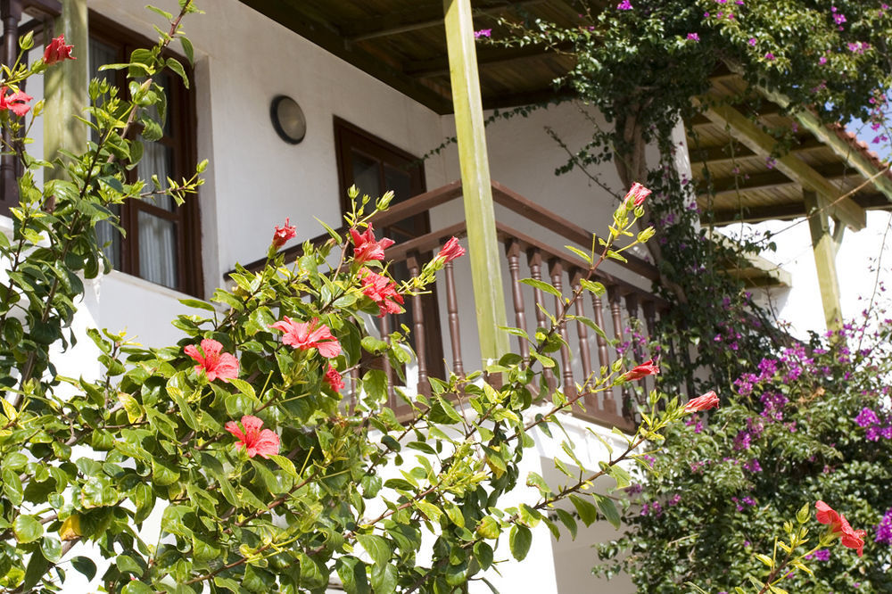 Delfi Hotel Spa & Wellness Center Bodrum Bagian luar foto